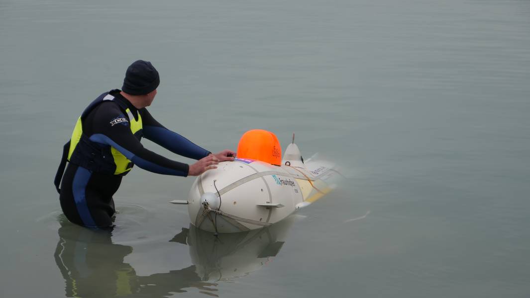 ARGGONAUTS está criando dois enxames: um no fundo do mar e outro na superfície do oceano. Cinco ou mais drones robóticos de profundidade inteligentes serão acompanhados e apoiados pelo mesmo número de catamarãs autônomos para georreferenciamento, recuperação e transporte. (Foto: Ibrahim Shehab)