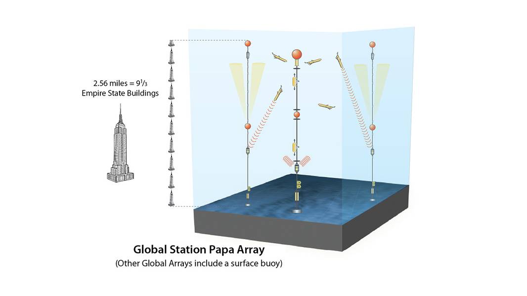 Construir e manter matrizes globais é um feito impressionante de engenharia. As amarras nesses arrays de águas profundas se estendem por vários quilômetros até o fundo do oceano, tornando-os especialmente desafiadores para projetar, implantar e recuperar. Eles também estendem o alcance de cientistas a partes do oceano que são difíceis de estudar de outra maneira. (Ilustração de Jack Cook, WHOI Graphic Services)