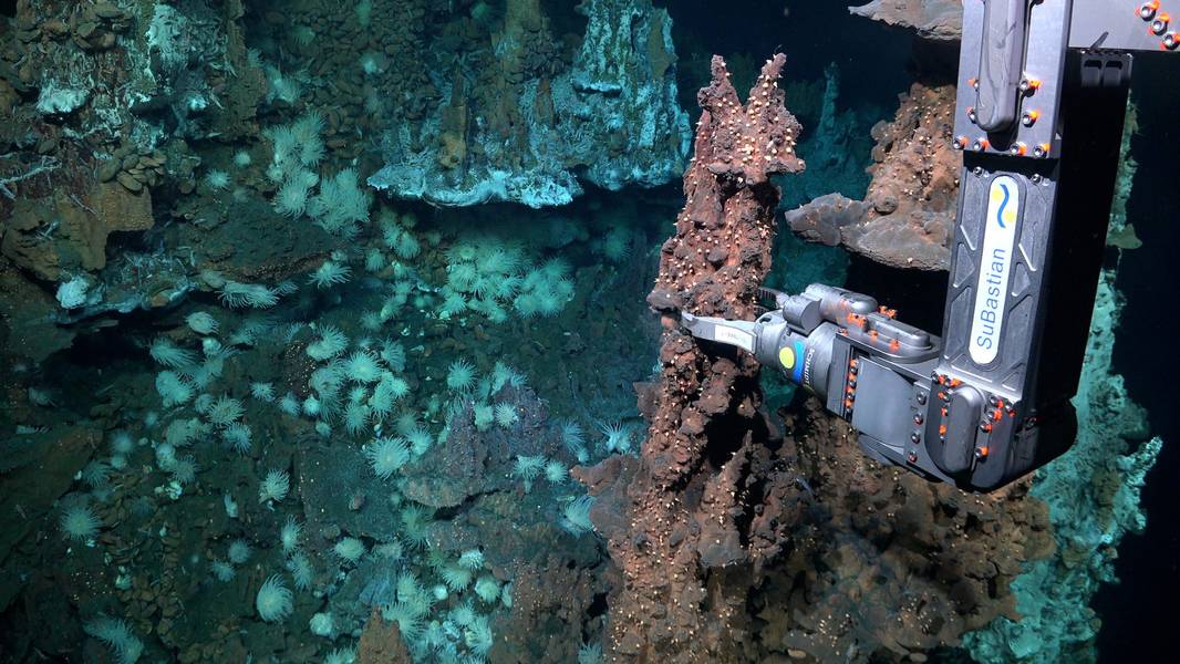 Die Piloten des ROV SuBastian entnehmen eine geologische Probe aus einem hydrothermalen Schlot in fast 3.890 Metern Tiefe. Wissenschaftler entdeckten zwei neue hydrothermale Felder in einem der am wenigsten erforschten Gebiete des Atlantischen Ozeans, der Doldrums Megatransform- und Bruchzone. Dieses große, tektonisch aktive System durchschneidet den Mittelatlantischen Rücken, der die längste Gebirgskette der Welt bildet. Solche hydrothermalen Felder sind aufgrund ihrer hybriden „Rohrsysteme“ selten, die typische Merkmale von … aufweisen.