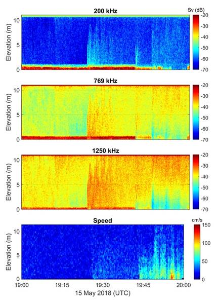 Echogramme der akustischen Rückstreuung, die den Trübungsfluss zeigen. Bild: ASL