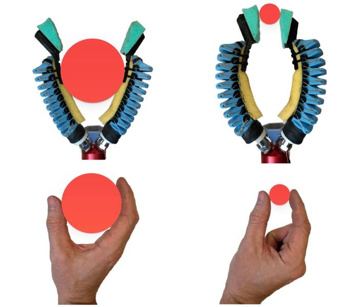 Eine modifizierte Version des Greifers mit nur zwei Fingern kann sowohl einen "Kraftgriff" zum Halten von großen Gegenständen als auch einen "Einklemmgriff" zum Halten kleiner Gegenstände, ähnlich einer menschlichen Hand, ausführen. (Kredit: Wyss Institute an der Harvard University)