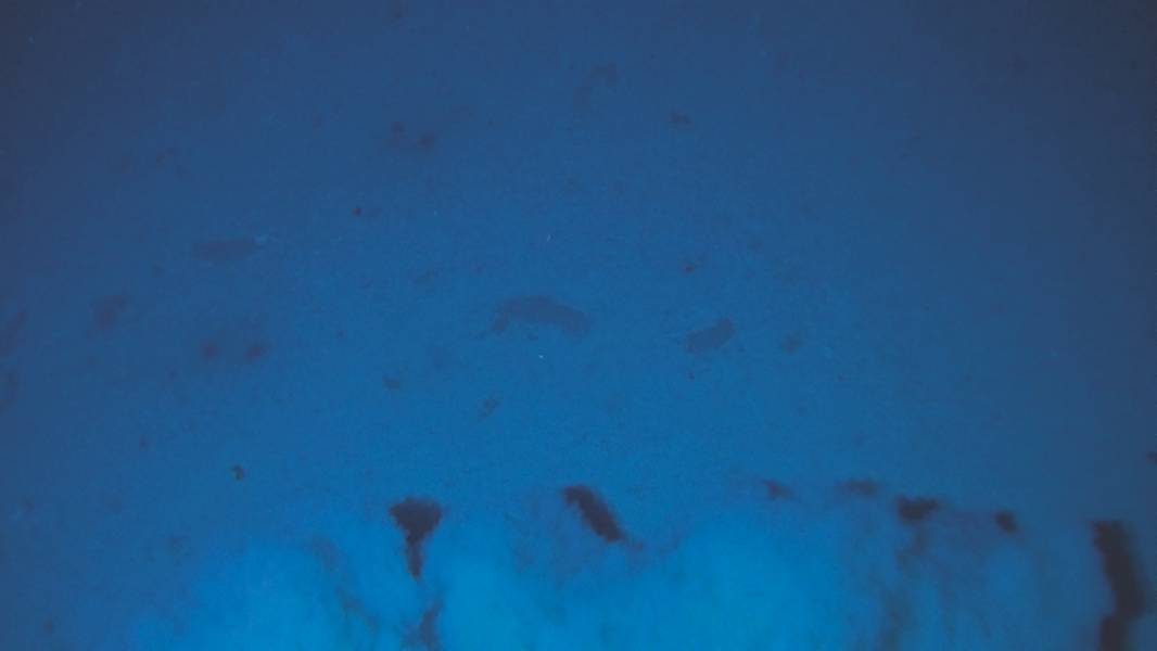 Figura 1a: Uma pluma de sedimento é levantada quando o lander bêntico Audacia pousa em 8.024 m em 26 de janeiro de 2018. No próximo mergulho, o lander bêntico atingiu a profundidade mais profunda da Trincheira Peru-Chile, 8.081 m. Holothurians, anfípodes, poliquetas e outros animais foram observados, e alguns foram capturados em armadilhas. O lander foi operado a partir do navio científico chileno Cabo de Hornos, operado pela Armada do Chile. (Imagem: Cortesia Kevin Hardy e Atacamex 2018)