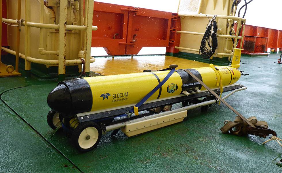 Foto: Corie Charpentier, associada de pesquisa pós-doc na Rutgers University