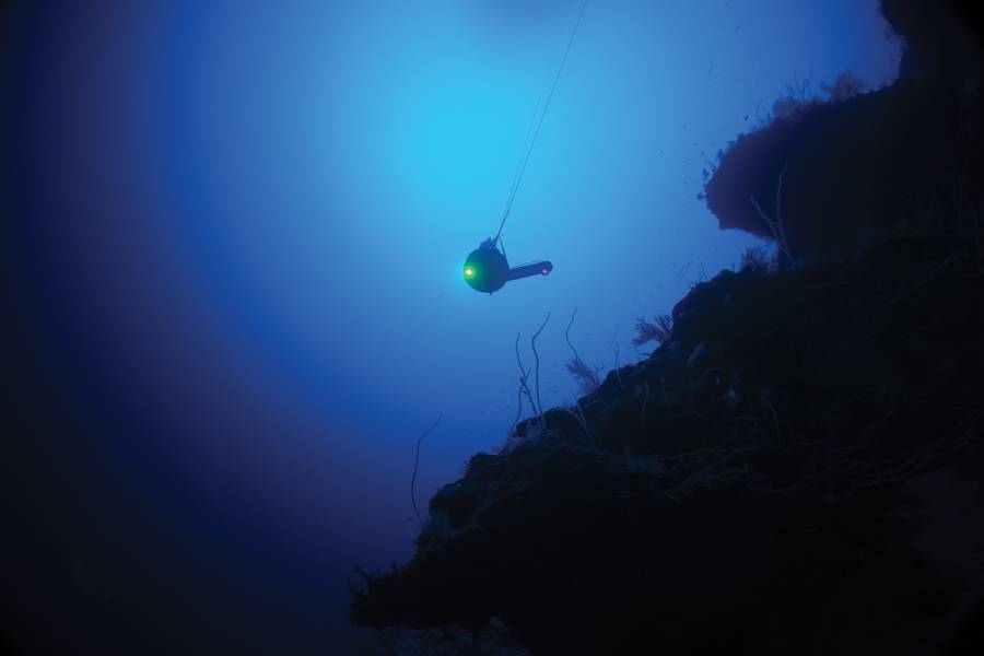 O depressor BlueComm de Sonaryne na água em Aldabra, durante a missão Nekton First Descent. Foto: Nekton Oxford Deep Ocean Research Institute