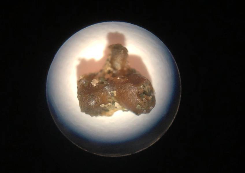 Ένα άλλο θρυμματισμένο κομμάτι φούσκας που ανακτήθηκε από το Εθνικό Θαλάσσιο Ιερό της Ολυμπιακής Ακτής πιστεύεται ότι είναι ένα κομμάτι του εξωτερικού μετεωρίτη που λειώνει καθώς εισέρχεται στην ατμόσφαιρα της Γης. (Φωτογραφία: Susan Poulton / OET)