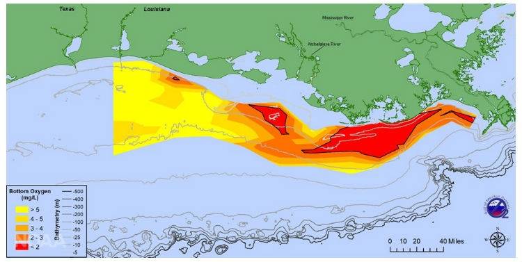 Στα 2.720 τετραγωνικά μίλια, μια περιοχή σχετικά με το μέγεθος του Delaware, η νεκρή ζώνη αυτού του έτους στον Κόλπο του Μεξικού είναι μικρότερη από το μέσο όρο. Ο χάρτης δείχνει την κατανομή του διαλυμένου οξυγόνου από το πυθμένα του νερού που λήφθηκε κατά τη διάρκεια ερευνητικής κρουαζιέρας από τις 24 έως τις 28 Ιουλίου (Ν. Rabalais, LSU / LUMCON & R. Turner, LSU)