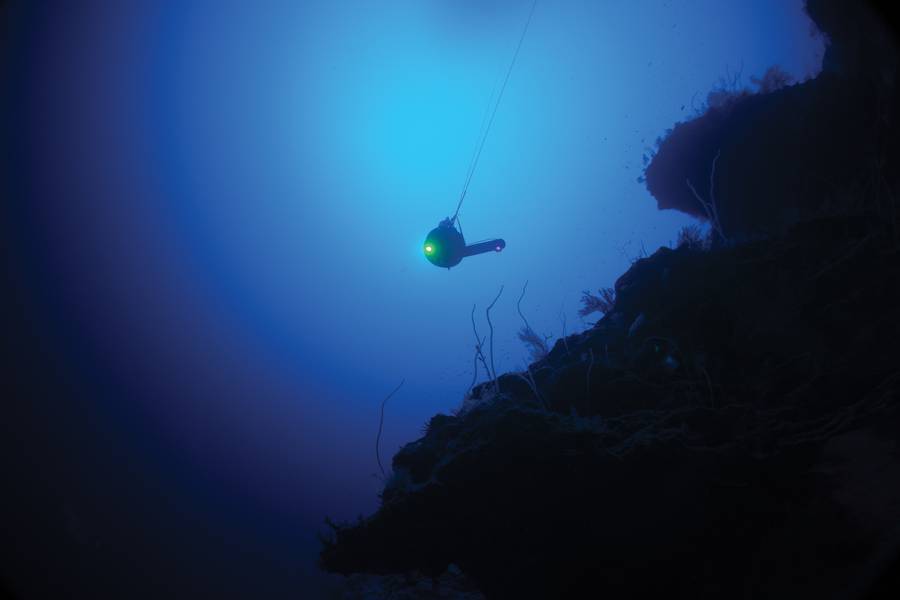 اكتئاب سوناريني BlueComm في الماء في Aldabra ، خلال مهمة Nekton First Descent. الصورة: معهد نيكون أكسفورد لأبحاث أعماق المحيطات