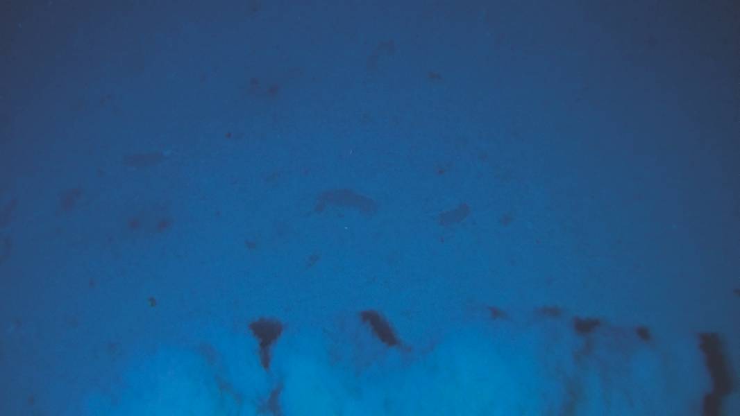 図1a：2018年1月26日、底生生物のアウラシアが8,024mに触れると、堆積物のプルームが蹴られます。次の潜水では、ペルー - チリ海溝の最深部に8,081mまで達しました。ホロトゥリアヌス、両虫、多毛虫および他の動物が観察され、いくつかは餌をつけた罠で捕獲された。ランダーは、チリの武装勢力であるチリの科学博物館Cabo de Hornosから運営されていた。 （画像：Kevin Hardy、Atacamex 2018）