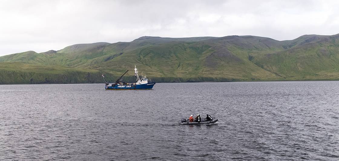 潜水队调查通过REMUS 100 AUV收集的声纳目标，RV Norseman II在后台航行（照片：NOAA）