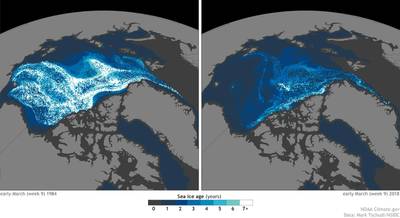 (Quelle: NOAA Climate.gov, Daten: Mark Tschudi)