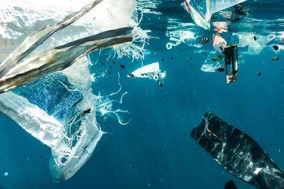 新しい研究によると、海洋プラスチック汚染に取り組むための国境を越えた協力は、経済的にも環境的にも大きな利益をもたらす可能性がある。提供：プリマス海洋研究所