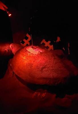 Anexando um farol GPS Argos ao casco de uma tartaruga (Foto: NYK Line)