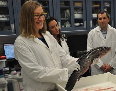 Karina Gould, Ministra de Instituciones Democráticas, en nombre de Dominic LeBlanc, Ministro de Pesca, Océanos y la Guardia Costera de Canadá, anuncia nuevos fondos para la lucha contra las carpas asiáticas. (Foto: Pesca y océanos de Canadá)