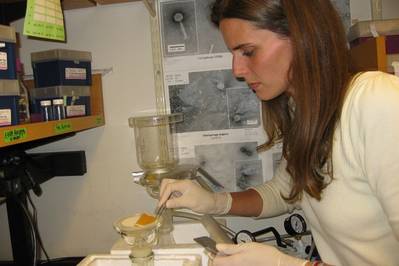 Postdoc Kathryn Kauffman procesa muestras de agua de mar en el laboratorio para extraer los virus que infectan a las bacterias que contienen. (Imagen: Alison Takemura)