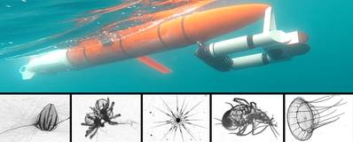 Zooglider (oben) mit einer Auswahl von Zooplankton-Bildern, die der Roboter erfasst hat. Bild oben: Benjamin Whitmore