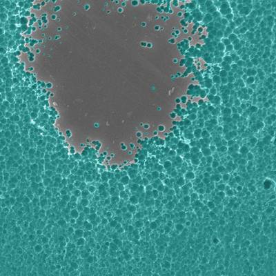 Εικόνα ηλεκτρονικού μικροσκοπίου πλαστικού ΡΕΤ ενζύμου που υποβαθμίζει (Πιστωτική: Dennis Schroeder / NREL)