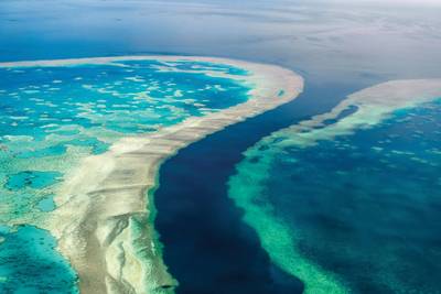 ЭОМАП продемонстрировал свой вклад в первую в мире трехмерную карту среды обитания Большого Барьерного рифа (GBR) на Международном форуме по спутниковой батиметрии, День SDB 2019 в Австралии.