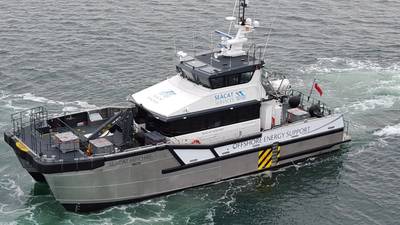 الصورة: Seacat Mischief (الصورة: Seacat)