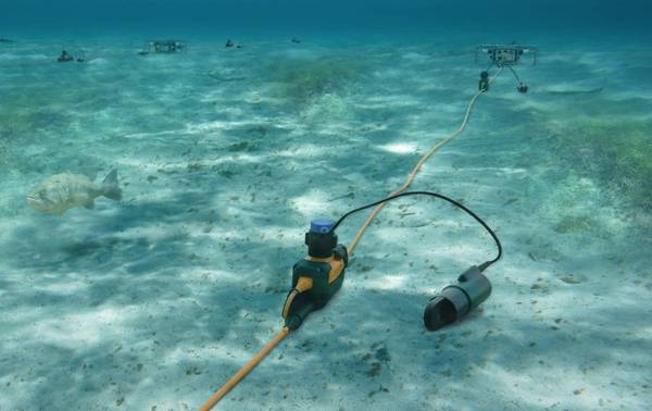 Sistema de zona de transición Sercel 508XT para zonas pantanosas y profundidades de agua de hasta 25 m (imagen cortesía de Sercel)