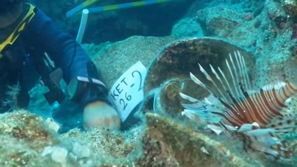 Captura de pantalla del vídeo del hallazgo del histórico naufragio. Crédito de la imagen: Universidad de Akdeniz.