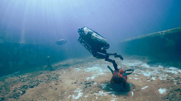 Источник: Reach Robotics