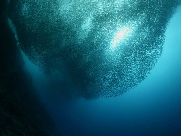 © अंडरओशन / एडोब स्टॉक