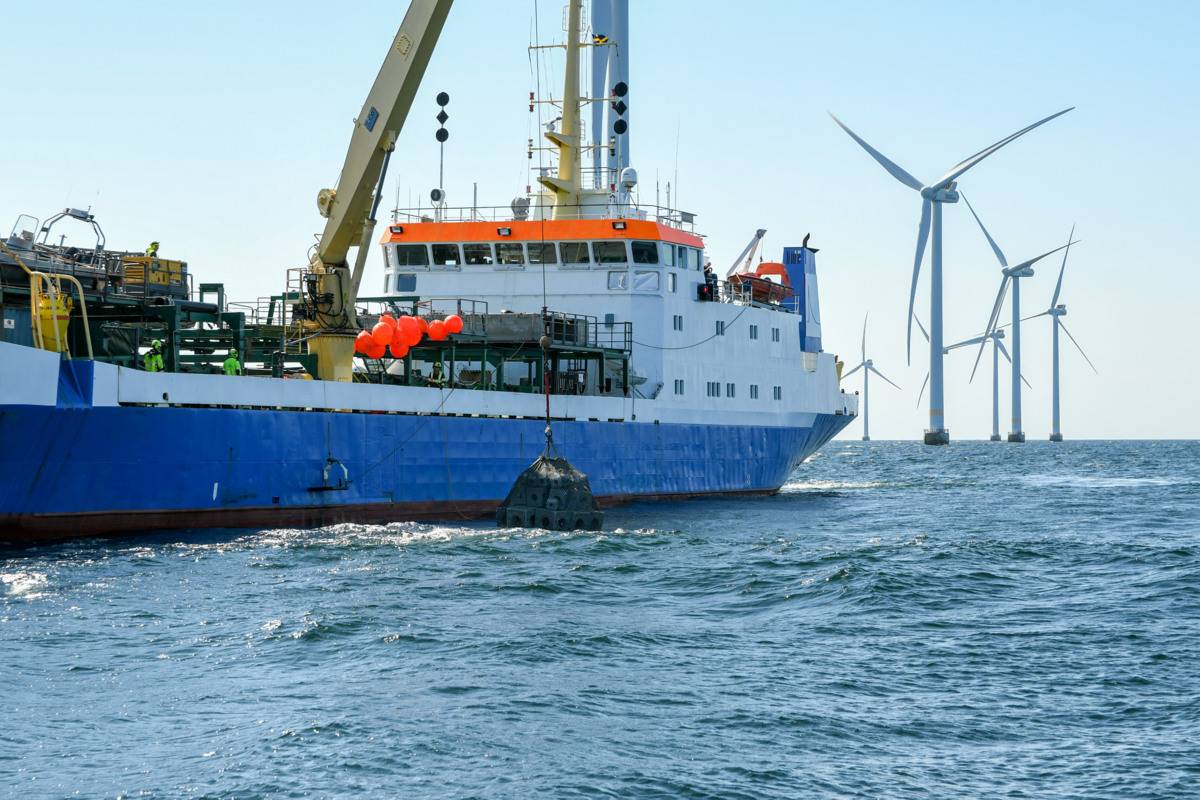 RWE Deploys Artificial Reefs At Offshore Wind Farm In