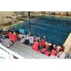 The 2018 MATE International ROV Competition was held at the King County Aquatic Center in in Federal Way, Wash.  (Photo: MATE)