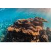 © Aaron / Adobe Stock