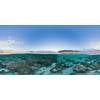 © Adobe Stock/The Ocean Agency