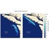 Aggregated results from model simulations showing dramatic differences in impacts based on the timing of a potential spill. In a July scenario (left panel), the spill is most likely to move south, towards the coast of Washington state. In a January scenario (right panel), the spill is most likely to flow north, potentially affecting the coast of Vancouver Island, Canada. © NOAA