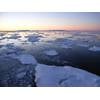 Antarctic sea-ice.  Photo credit Dr. Andrew Meijers