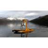 ASV’s C-Enduro operating under SeeByte’s Neptune software at the AAOSN trial (Photo: SeeByte)