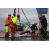 Deployment of the FluxCAM. © NOC