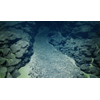 During the 2025 Deep-sea Habitats of the Cook Islands expedition on Exploration Vessel Nautilus the team surveyed various seascapes to better understand seabed environments, and natural and mineral resources in the region. In this image, polymetallic nodules rest on sediment accumulated in a depression between rounded pillows and extended lobate lava flows, which are evidence of ancient volcanoes. (Image credit: Courtesy of Ocean Exploration Trust)