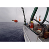 Elizabeth Steffen, scientist at NOAA’s Pacific Marine Environmental Lab and University of Hawaii, deploys a Deep Argo float off Hawaii on May 16, 2018. The float was tested here in preparation for its recent release as part of a new array in the western South Atlantic off Brazil. NOAA and Vulcan collaborated to deploy 27 Deep Argo floats off Brazil that report back ocean temperature and salinity data from the surface to the seafloor. Credit: Blake Watkins/ University of Hawaii
