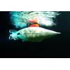 EvoLogics Presents the new PingGuin AUV.