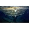 © Falklands Maritime Heritage Trust / National Geographic