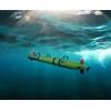 Huntington Ingalls Industries’ Technical Solutions division has announced the commercial release of its REMUS 300 unmanned underwater vehicle. HII rendering.
