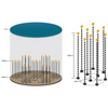 Illustration of the P-ONE configuration: As shown on the left, seven clusters will constitute a one cubic kilometre detector. A single cluster with ten mooring lines is depicted on the right. (Picture: K. Holzapfel/Technical University of Munich)