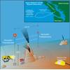 Image courtesy of ASL Environmental Sciences