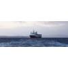 Image: Shearwater GeoServices