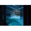 
Inside research tank of University of Miami SUSTAIN laboratory (Photo: University of Miami) 