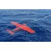 iXblue launched its first Remotely Operated Towed Vehicle (ROTV): FlipiX. Photo courtesy iXblue