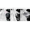 Larsen B Ice Shelf Collapse, 2002. Credit: National Snow and Ice Data Center