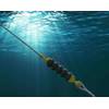 TFI Marine SeaSpring. © TFI Marine