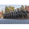 U.S. Marines participate in the Swedish Heritage Parade in Dragsvik, Finland, Nov. 6, 2024. U.S. Marines assigned to Marine Rotational Force – Europe are in Finland to participate in exercise Freezing Winds 24, an annual Finnish-led maritime exercise which serves as a venue to increase Finnish Naval readiness and interoperability between NATO partners and allies in and around the Baltic Sea. (U.S. Marine Corps photo by Lance Cpl. Christian Salazar)