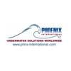 © Phoenix International Holdings