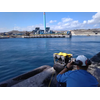 Photo: Nido Robotics 