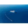 (Photo: The Ocean Cleanup)